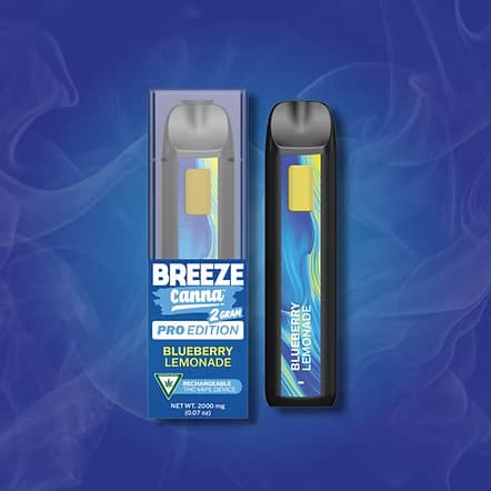 Blueberry Lemonade - 2G Pro Disposable — BREEZE Canna