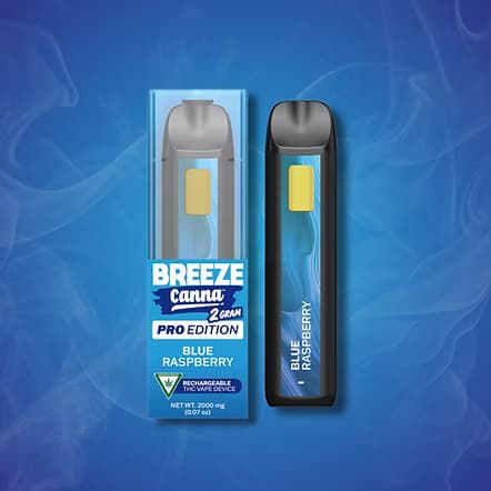 Blue raspberry - 2G Pro Disposable — BREEZE Canna